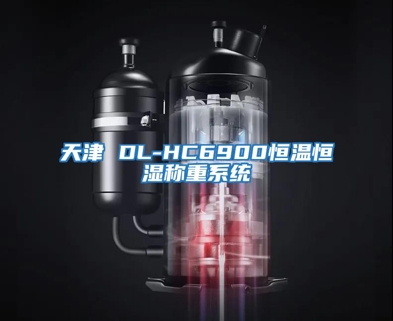 天津 DL-HC6900恒溫恒濕稱(chēng)重系統(tǒng)