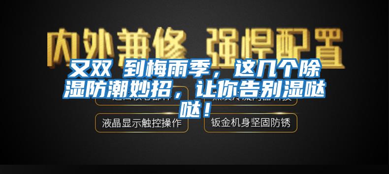 又雙叒到梅雨季，這幾個除濕防潮妙招，讓你告別濕噠噠！