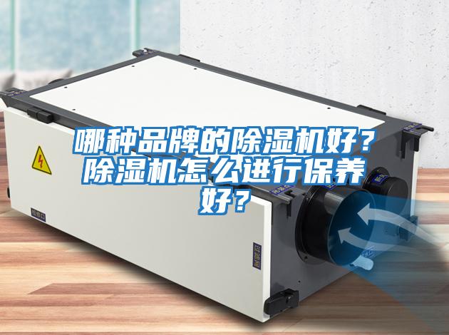 哪種品牌的除濕機好？除濕機怎么進行保養(yǎng)好？