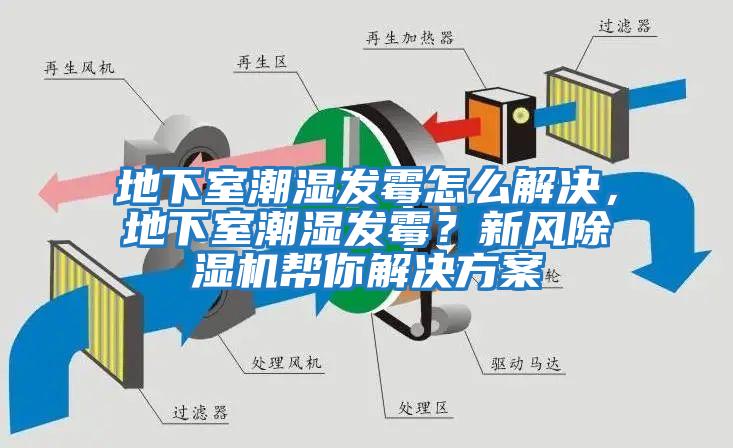 地下室潮濕發(fā)霉怎么解決，地下室潮濕發(fā)霉？新風除濕機幫你解決方案