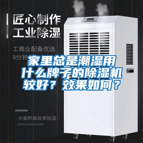 家里總是潮濕用什么牌子的除濕機較好？效果如何？