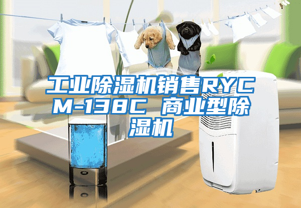 工業(yè)除濕機(jī)銷售RYCM-138C 商業(yè)型除濕機(jī)