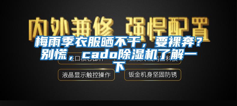 梅雨季衣服曬不干，要裸奔？別慌，cado除濕機了解一下