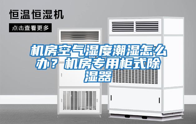 機(jī)房空氣濕度潮濕怎么辦？機(jī)房專用柜式除濕器