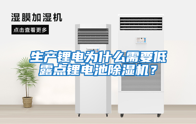 生產(chǎn)鋰電為什么需要低露點鋰電池除濕機？