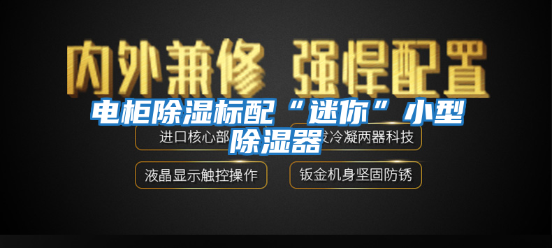 電柜除濕標(biāo)配“迷你”小型除濕器