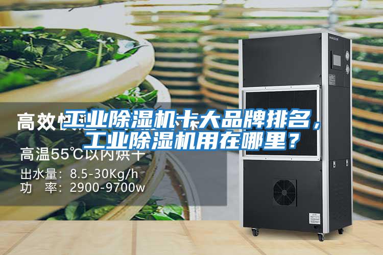 工業(yè)除濕機(jī)十大品牌排名，工業(yè)除濕機(jī)用在哪里？