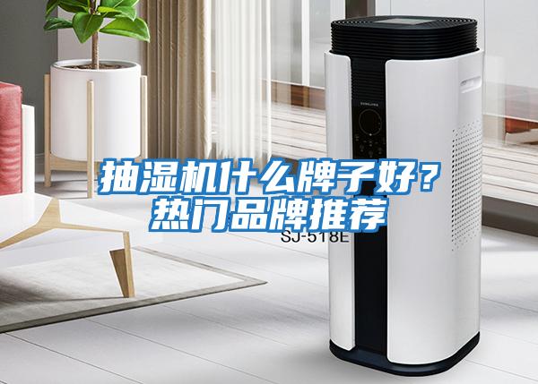 抽濕機(jī)什么牌子好？熱門品牌推薦