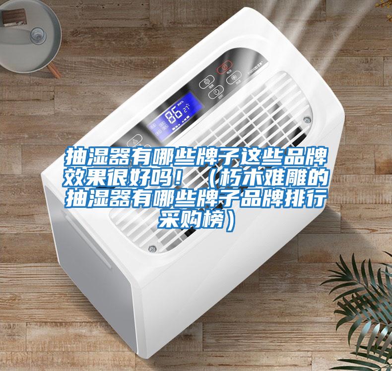 抽濕器有哪些牌子這些品牌效果很好嗎?。ㄐ嗄倦y雕的抽濕器有哪些牌子品牌排行采購(gòu)榜）