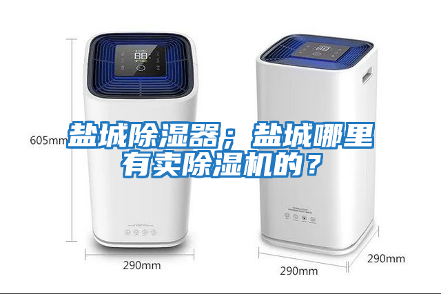 鹽城除濕器；鹽城哪里有賣除濕機的？