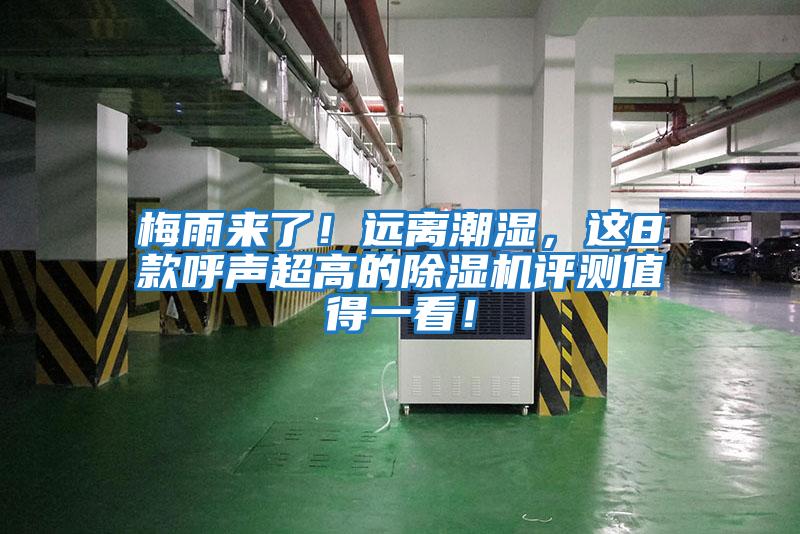 梅雨來了！遠(yuǎn)離潮濕，這8款呼聲超高的除濕機評測值得一看！