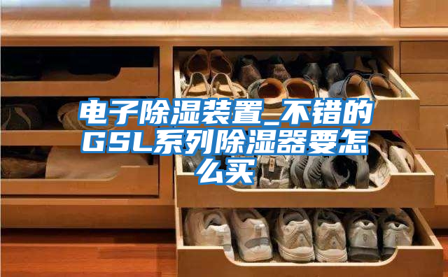 電子除濕裝置_不錯的GSL系列除濕器要怎么買