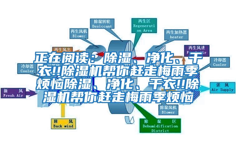 正在閱讀：除濕、凈化、干衣!!除濕機(jī)幫你趕走梅雨季煩惱除濕、凈化、干衣!!除濕機(jī)幫你趕走梅雨季煩惱