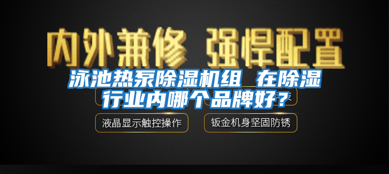 泳池熱泵除濕機組 在除濕行業(yè)內哪個品牌好？