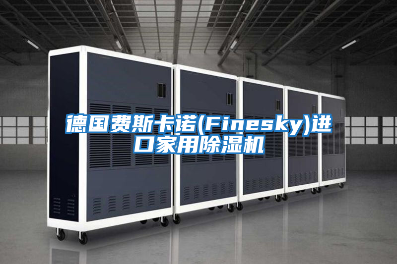 德國費(fèi)斯卡諾(Finesky)進(jìn)口家用除濕機(jī)