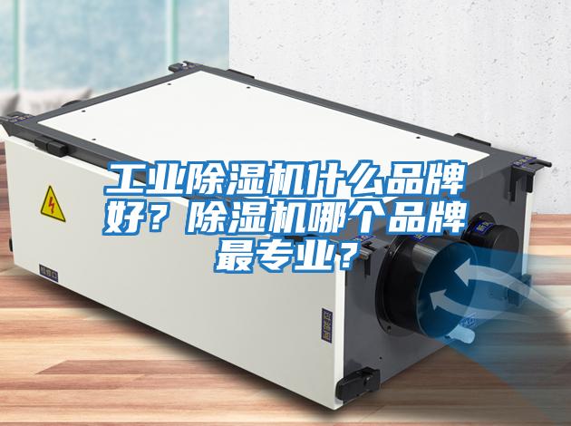 工業(yè)除濕機什么品牌好？除濕機哪個品牌最專業(yè)？