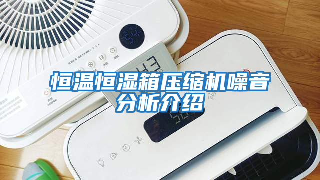 恒溫恒濕箱壓縮機噪音分析介紹