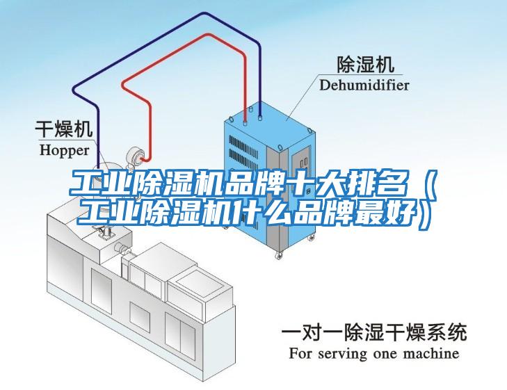 工業(yè)除濕機品牌十大排名（工業(yè)除濕機什么品牌最好）