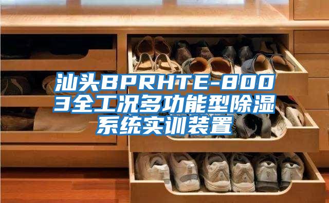 汕頭BPRHTE-8003全工況多功能型除濕系統(tǒng)實(shí)訓(xùn)裝置