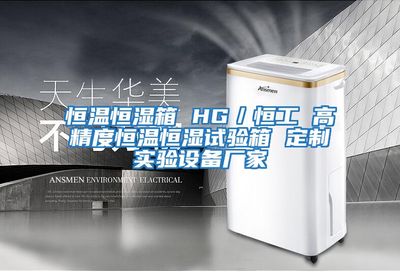 恒溫恒濕箱 HG／恒工 高精度恒溫恒濕試驗箱 定制實驗設備廠家