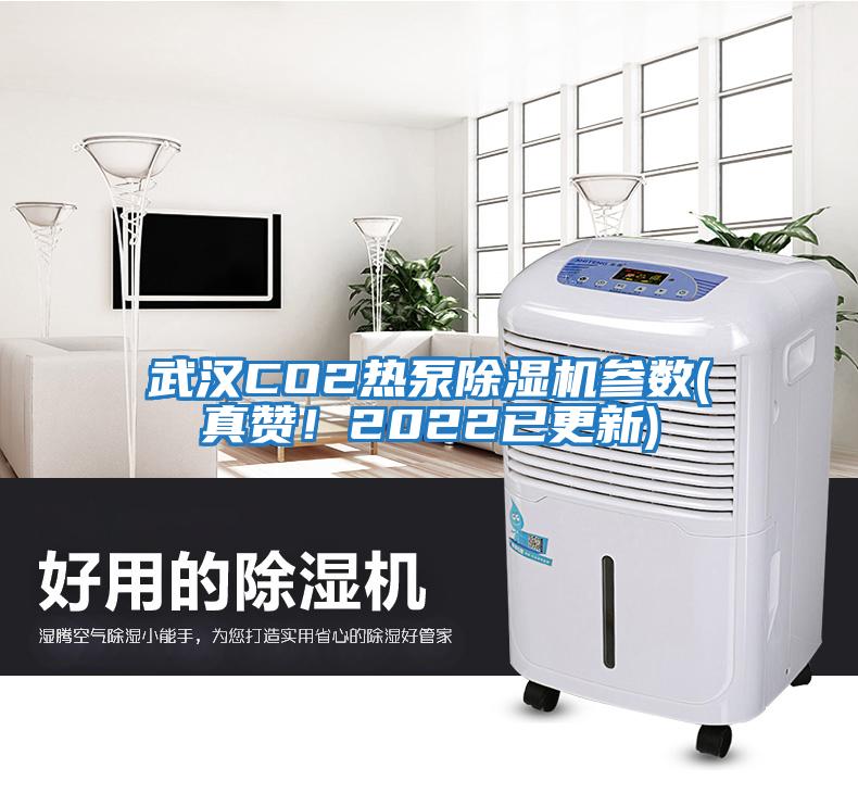 武漢CO2熱泵除濕機(jī)參數(shù)(真贊！2022已更新)