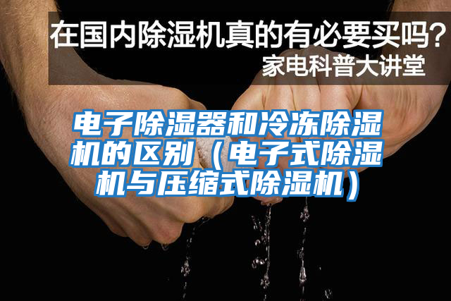 電子除濕器和冷凍除濕機(jī)的區(qū)別（電子式除濕機(jī)與壓縮式除濕機(jī)）