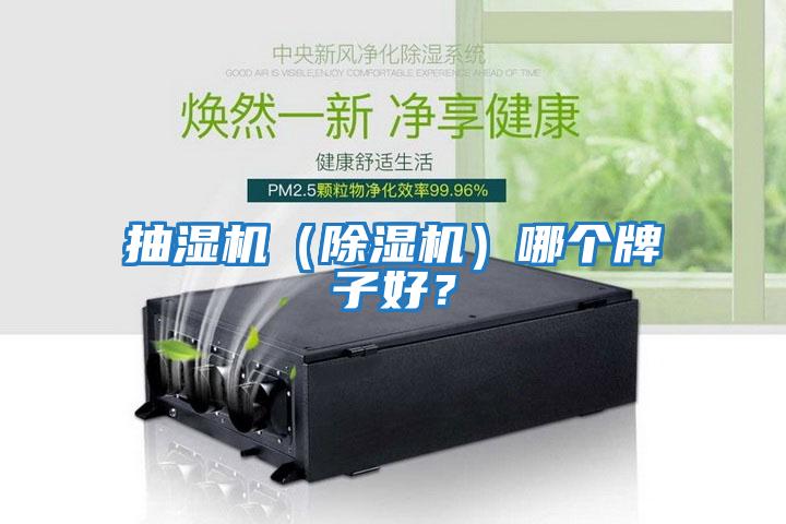 抽濕機（除濕機）哪個牌子好？