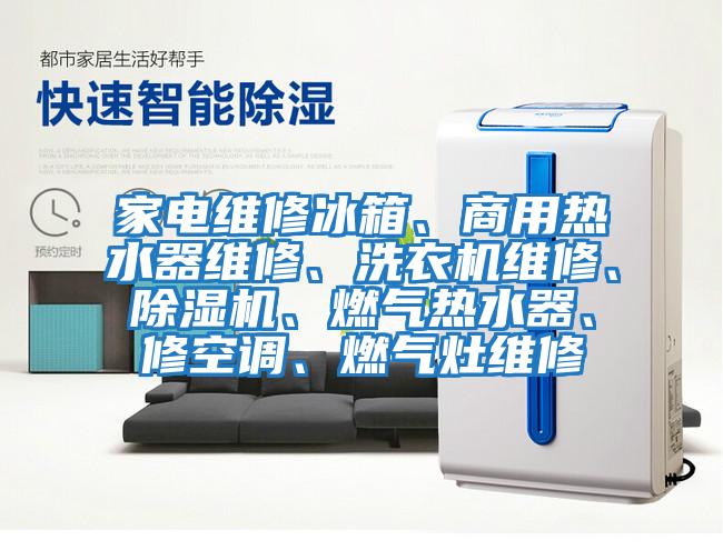 家電維修冰箱、商用熱水器維修、洗衣機維修、除濕機、燃?xì)鉄崴?、修空調(diào)、燃?xì)庠罹S修