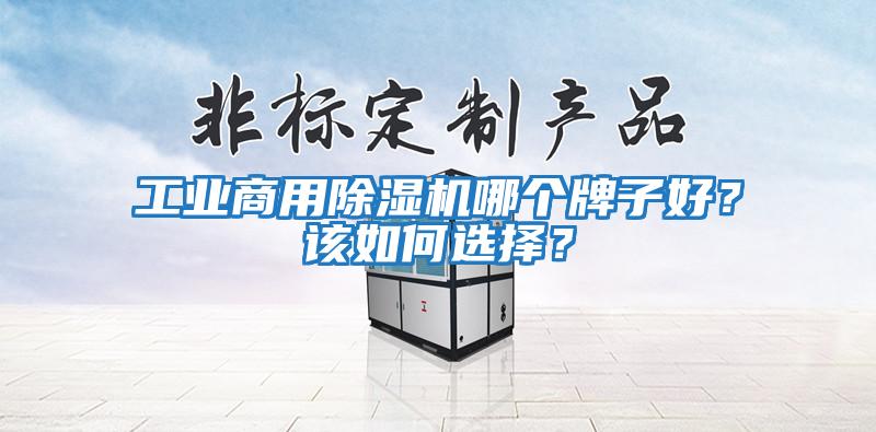 工業(yè)商用除濕機(jī)哪個牌子好？該如何選擇？