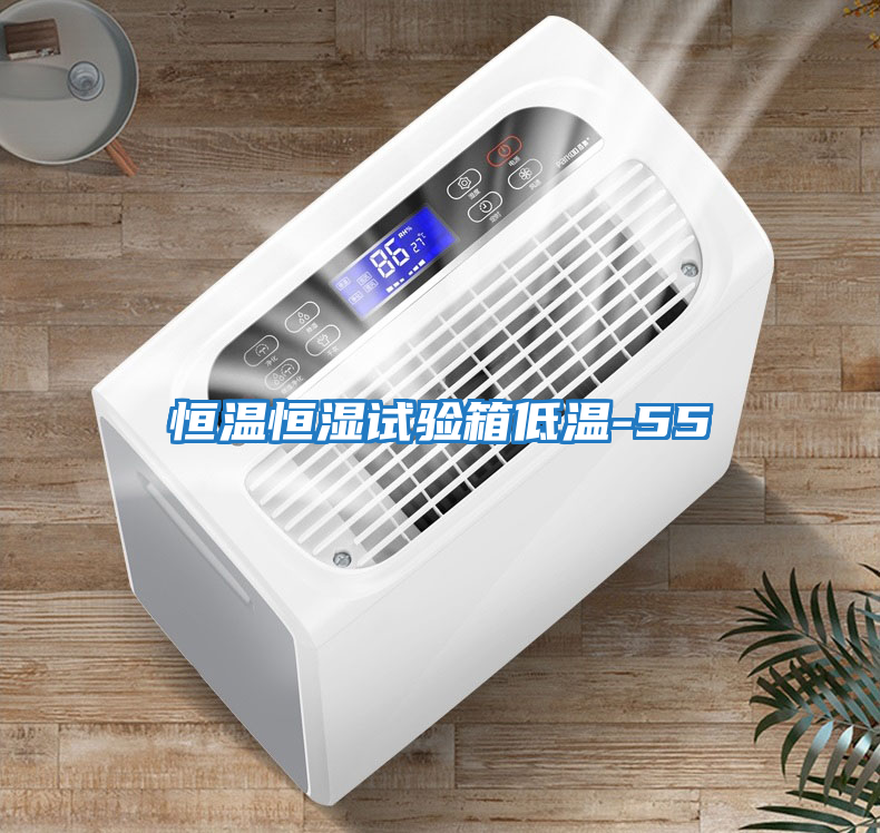 恒溫恒濕試驗(yàn)箱低溫-55℃