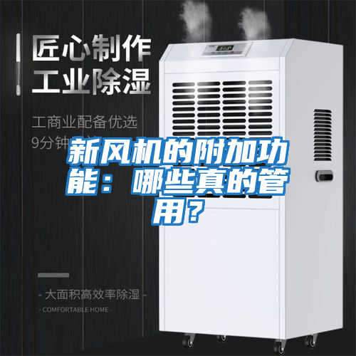 新風機的附加功能：哪些真的管用？