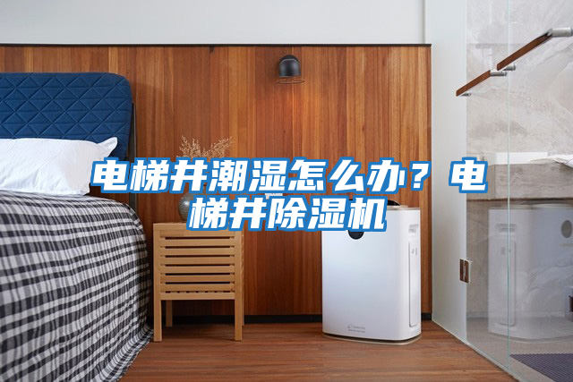 電梯井潮濕怎么辦？電梯井除濕機