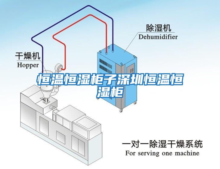 恒溫恒濕柜子深圳恒溫恒濕柜