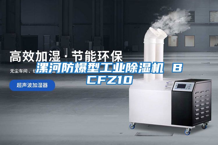 漯河防爆型工業(yè)除濕機 BCFZ10