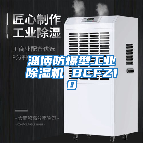 淄博防爆型工業(yè)除濕機 BCFZ10