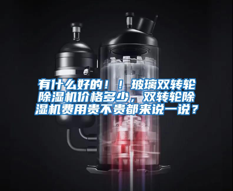 有什么好的?。〔Ａщp轉輪除濕機價格多少，雙轉輪除濕機費用貴不貴都來說一說？