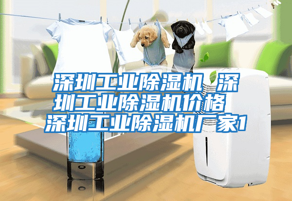 深圳工業(yè)除濕機 深圳工業(yè)除濕機價格 深圳工業(yè)除濕機廠家1