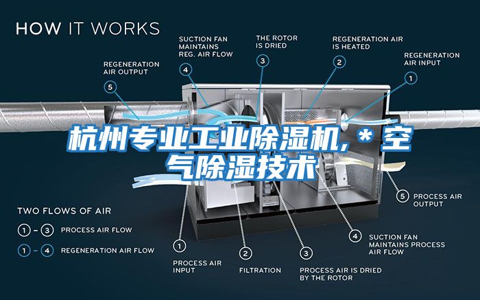 杭州專業(yè)工業(yè)除濕機(jī),＊空氣除濕技術(shù)