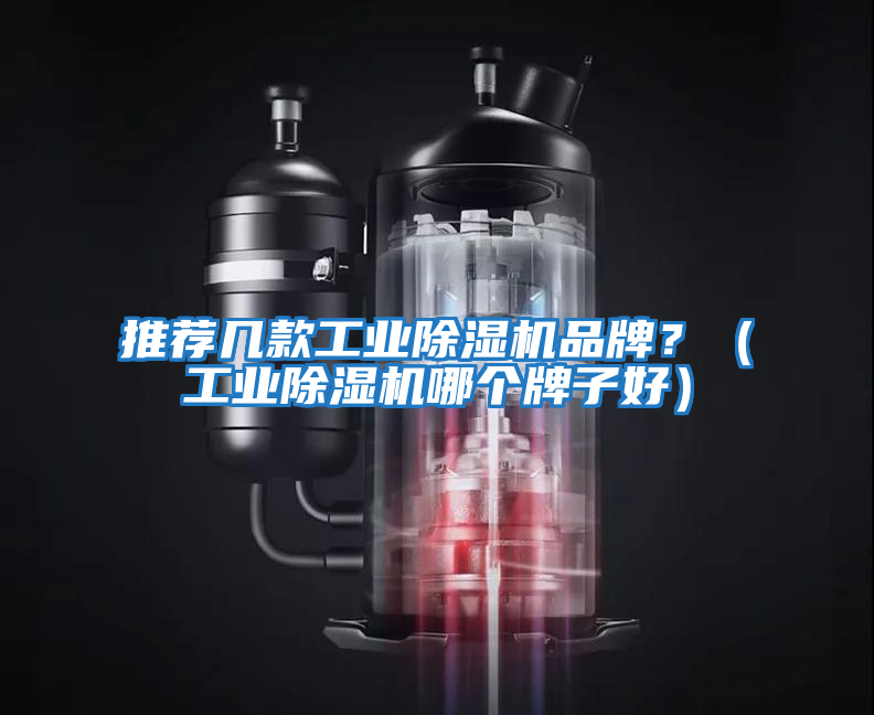 推薦幾款工業(yè)除濕機(jī)品牌？（工業(yè)除濕機(jī)哪個(gè)牌子好）