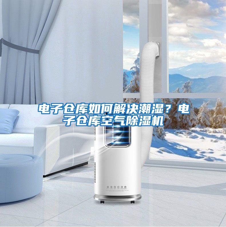 電子倉庫如何解決潮濕？電子倉庫空氣除濕機