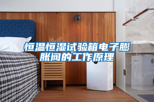 恒溫恒濕試驗箱電子膨脹閥的工作原理