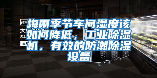 梅雨季節(jié)車間濕度該如何降低，工業(yè)除濕機(jī)，有效的防潮除濕設(shè)備