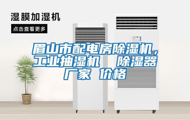 眉山市配電房除濕機(jī)，工業(yè)抽濕機(jī)  除濕器廠(chǎng)家 價(jià)格