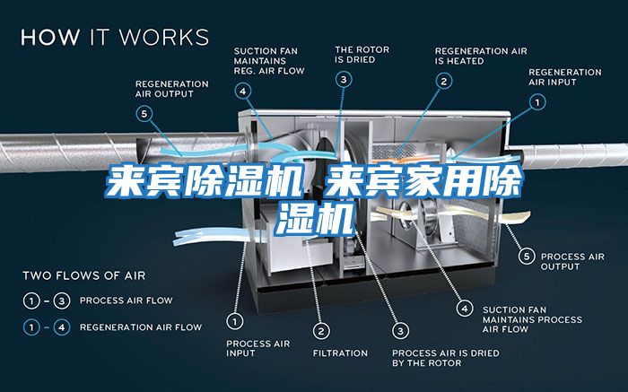 來賓除濕機◆來賓家用除濕機