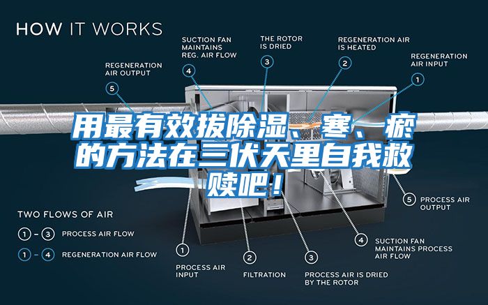 用最有效拔除濕、寒、瘀的方法在三伏天里自我救贖吧！