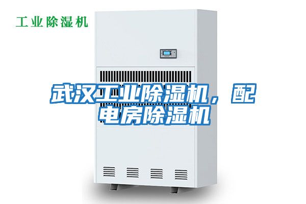 武漢工業(yè)除濕機(jī)，配電房除濕機(jī)