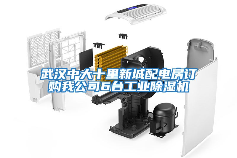 武漢中大十里新城配電房訂購我公司6臺工業(yè)除濕機