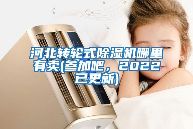 河北轉(zhuǎn)輪式除濕機(jī)哪里有賣(參加吧，2022已更新)