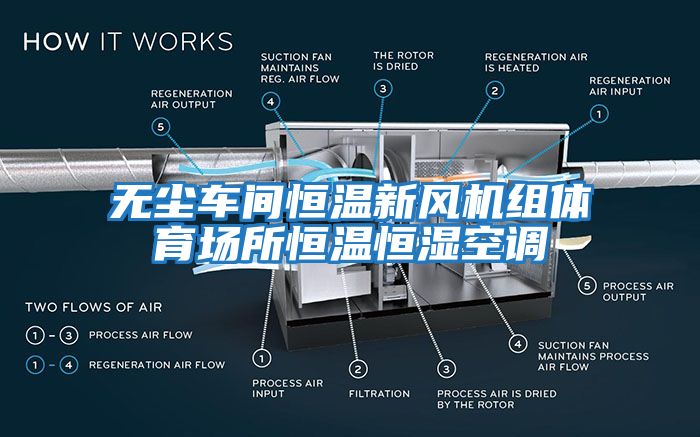 無塵車間恒溫新風(fēng)機(jī)組體育場所恒溫恒濕空調(diào)