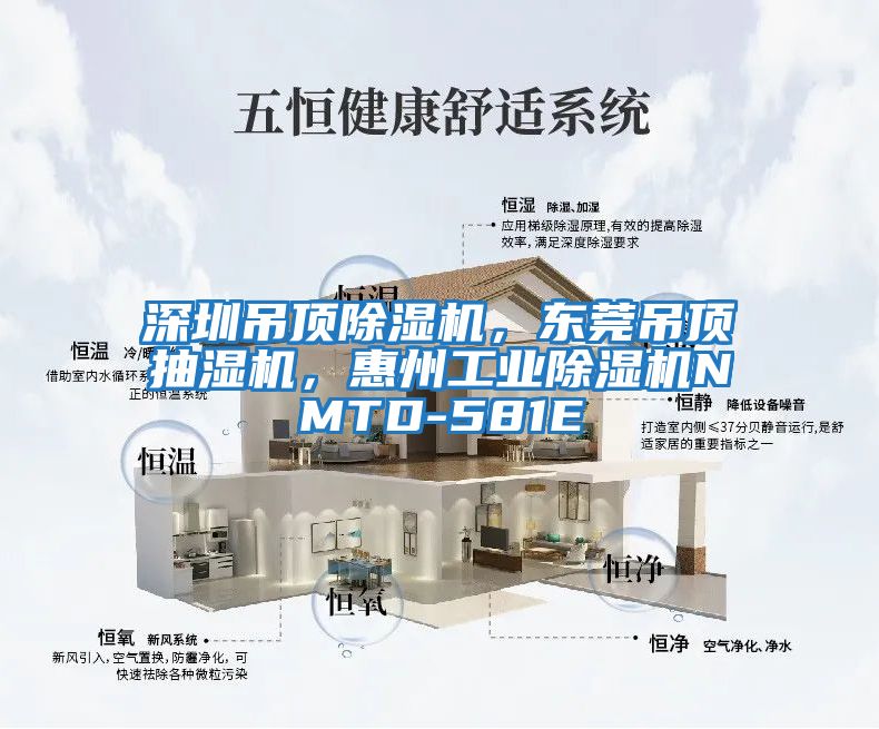 深圳吊頂除濕機，東莞吊頂抽濕機，惠州工業(yè)除濕機NMTD-581E